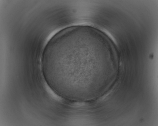 X0000093101468200710101528