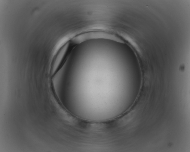 X0000093101469200710101528