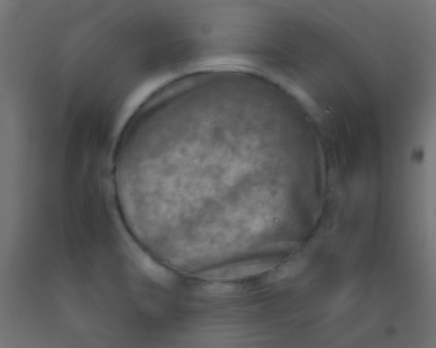 X0000093101470200710101528