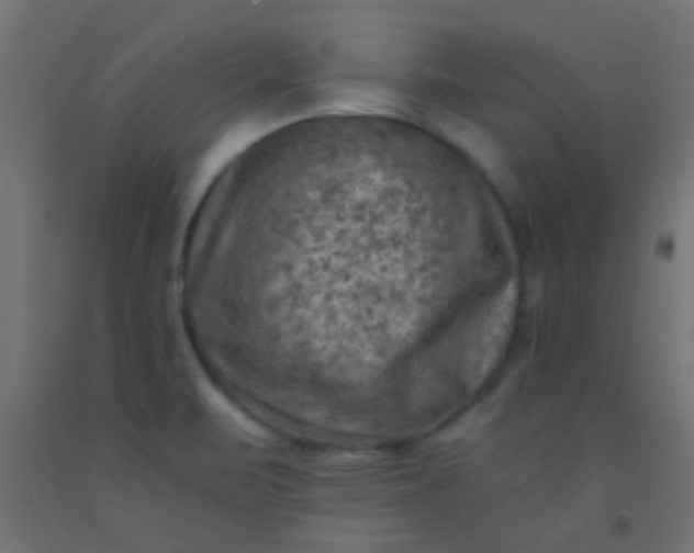 X0000093101471200710101528