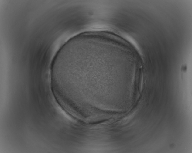 X0000093101472200710101528