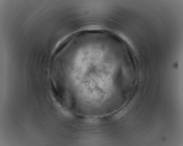 X0000093101473200710101528