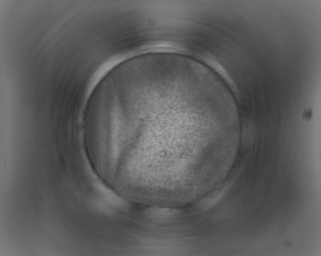 X0000093101474200710101528