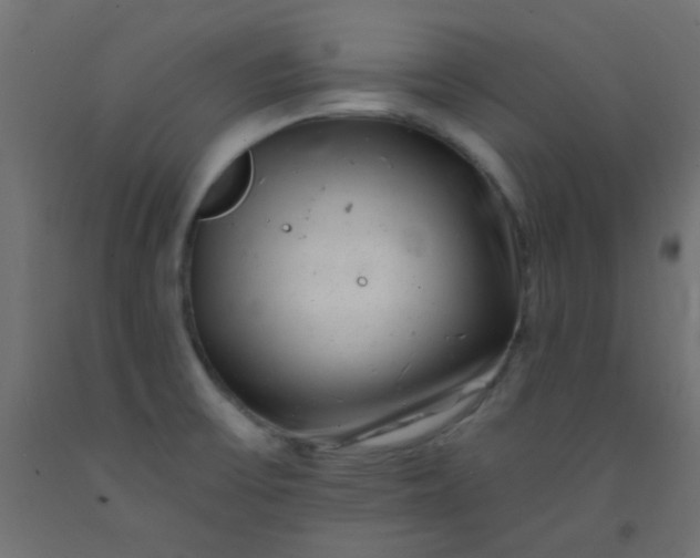 X0000093101475200710101528