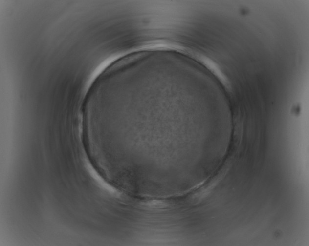 X0000093101476200710101528