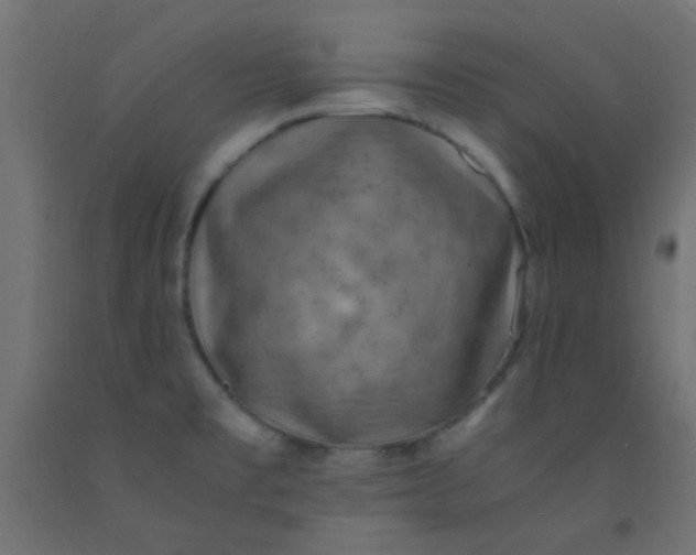 X0000093101477200710101528