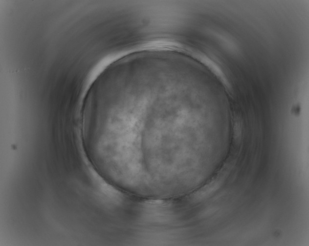 X0000093101478200710101528