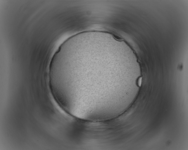 X0000093101479200710101528