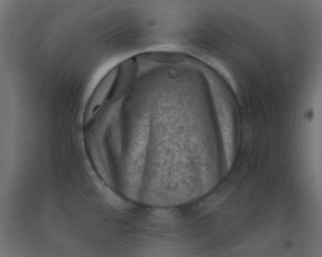 X0000093101480200710101528