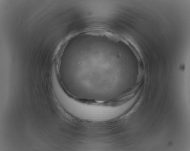 X0000093101481200710101527