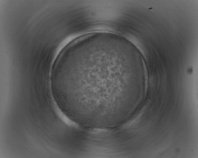 X0000093101482200710101527