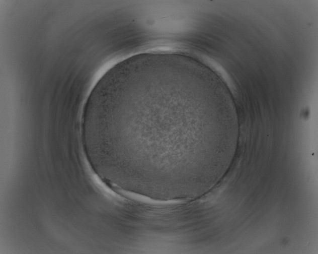 X0000093101483200710101527