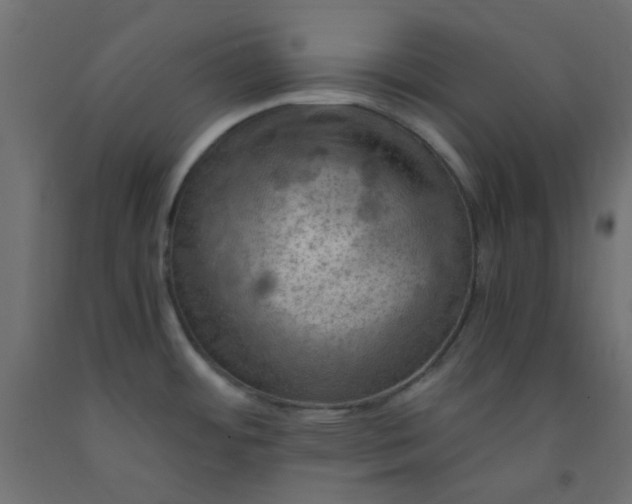X0000093101484200710101527