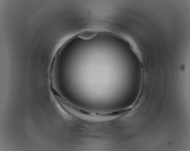 X0000093101485200710101527