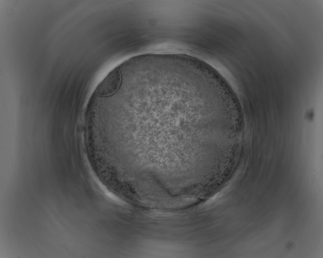 X0000093101486200710101527
