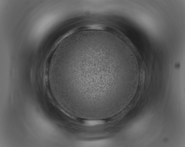 X0000093101487200710101527