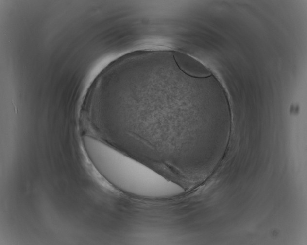 X0000093101488200710101527