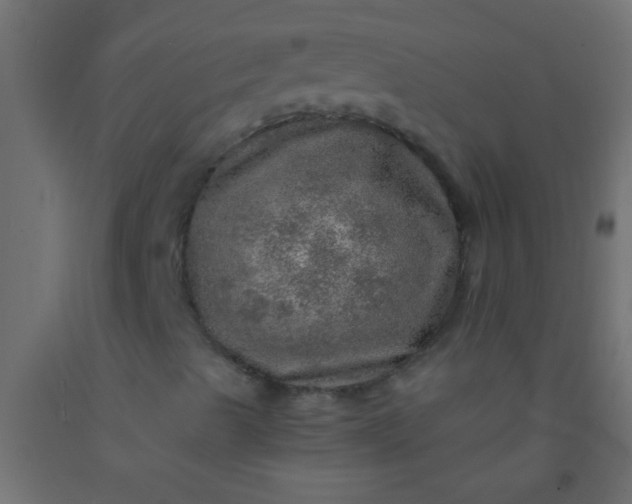 X0000093101489200710101527