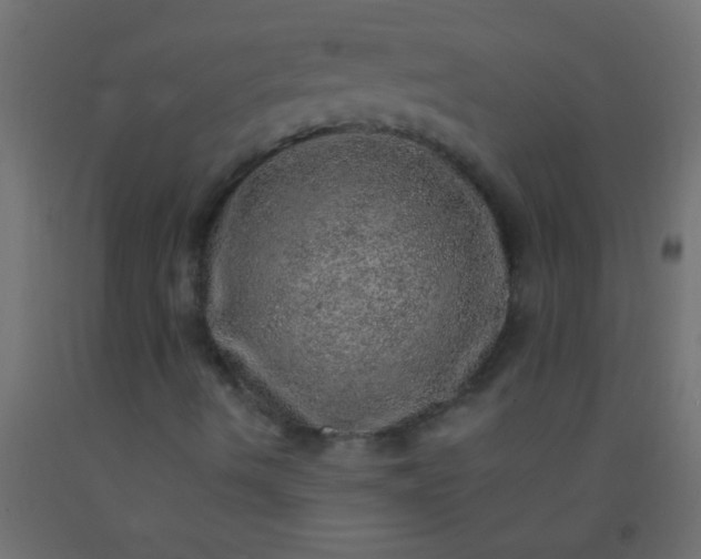 X0000093101490200710101527