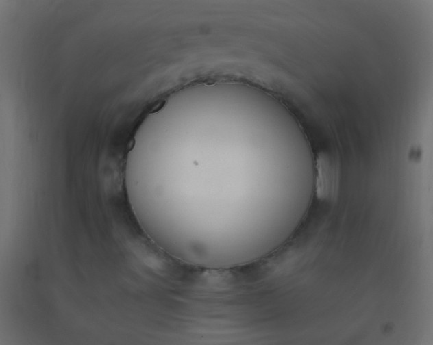 X0000093101491200710101527