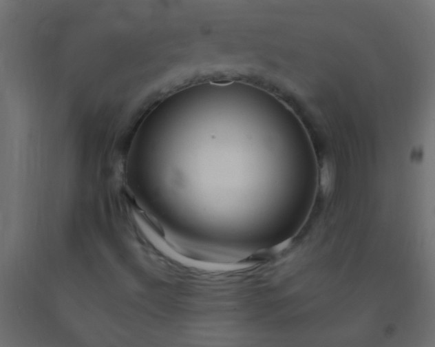 X0000093101492200710101527