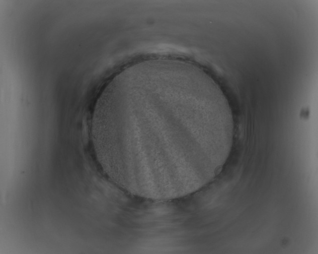 X0000093101493200710101527