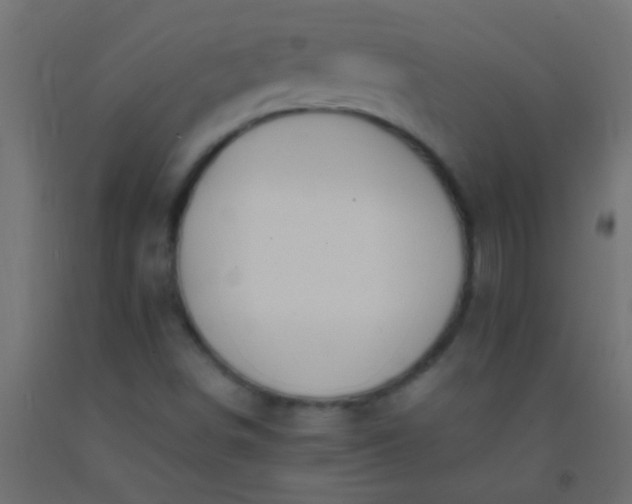 X0000093101498200710101527