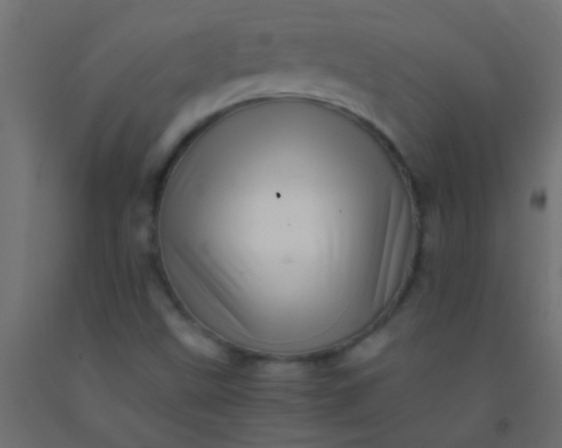 X0000093101499200710101527
