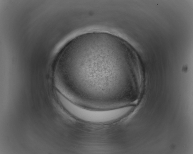 X0000093101502200710101527