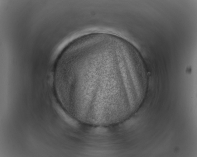 X0000093101503200710101527