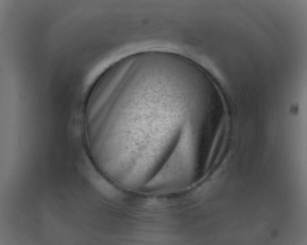 X0000093101504200710101527