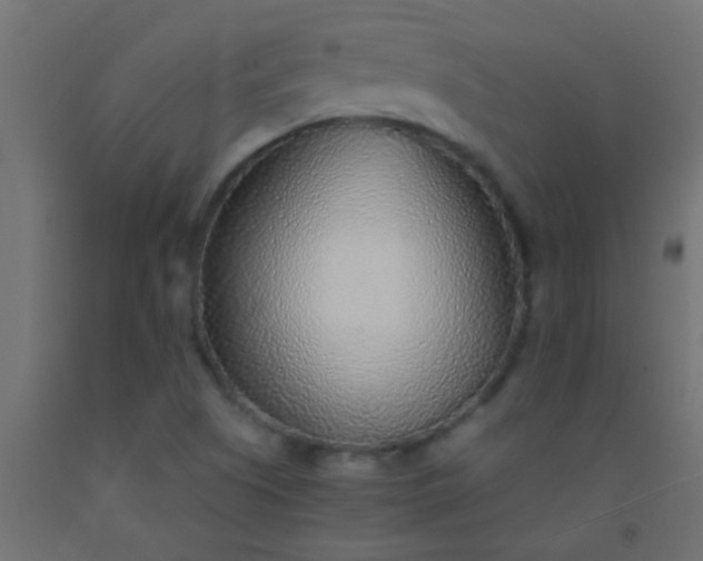 X0000093101505200710101527