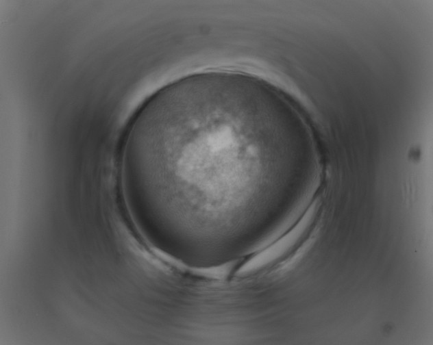X0000093101506200710101527