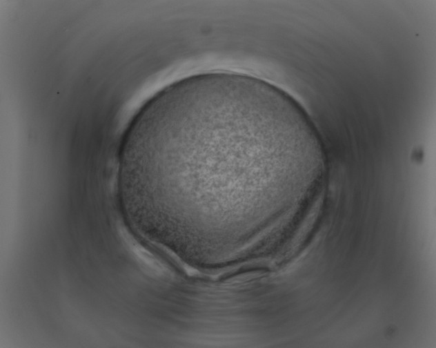 X0000093101507200710101527