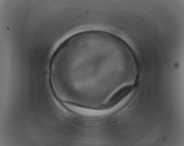 X0000093101508200710101527