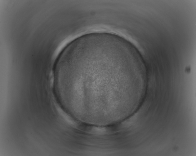X0000093101509200710101527