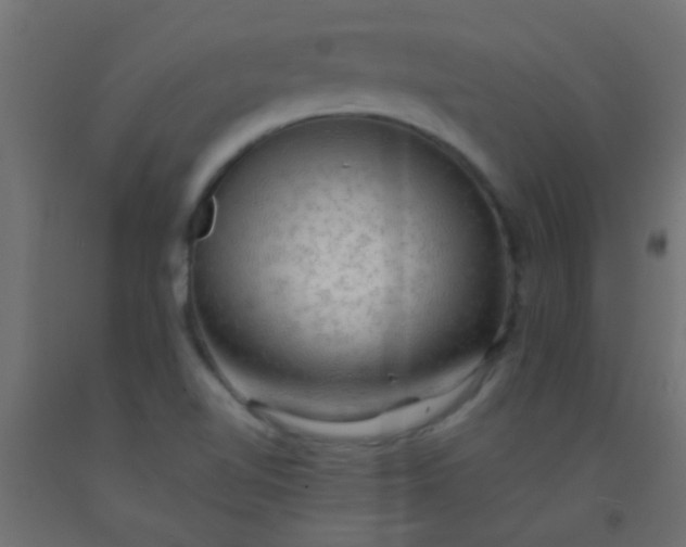 X0000093101510200710101527