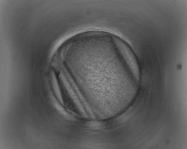 X0000093101511200710101527