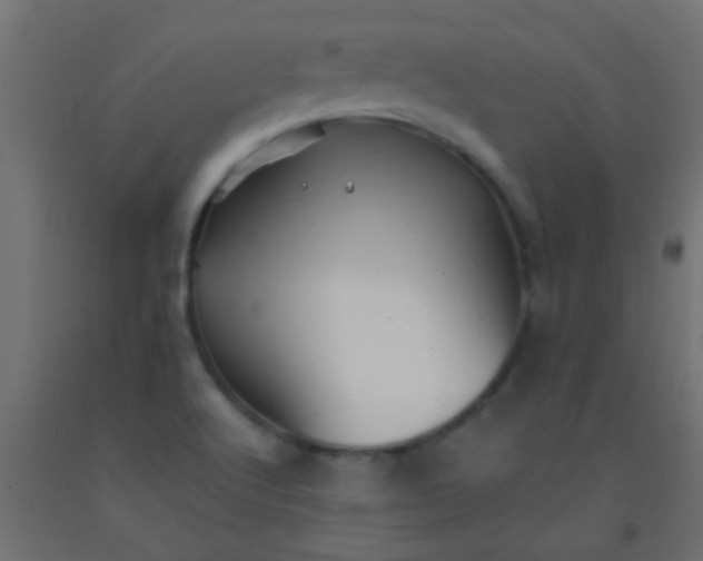 X0000093101512200710101527