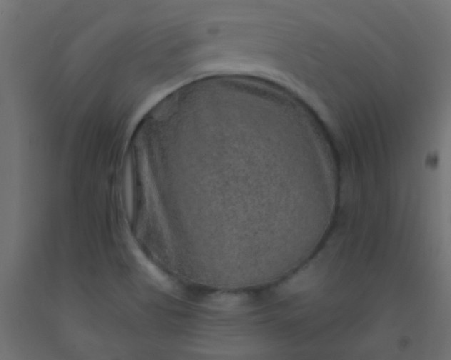 X0000093101513200710101527