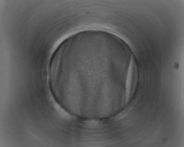X0000093101515200710101527