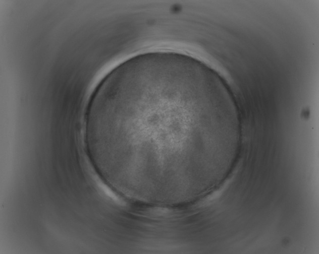 X0000093101517200710101527