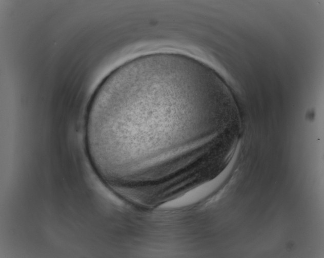 X0000093101518200710101527