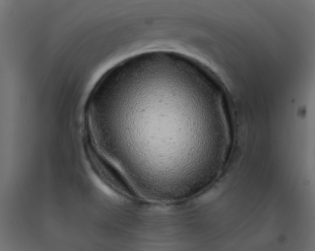 X0000093101519200710101527