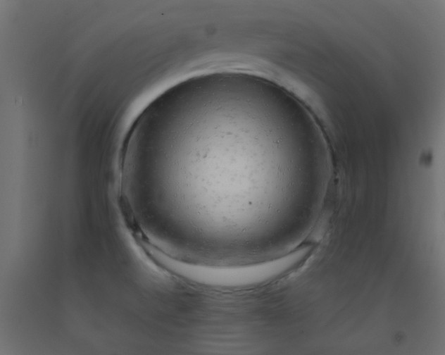 X0000093101520200710101527