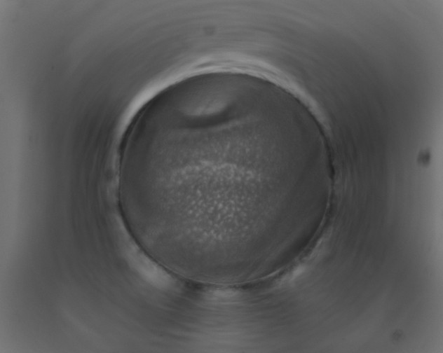 X0000093101522200710101527