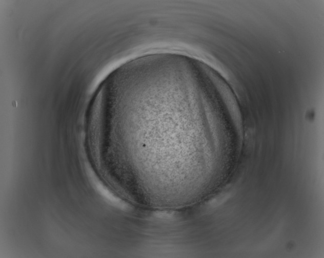 X0000093101523200710101527