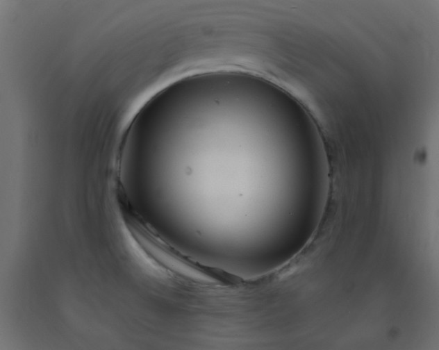 X0000093101524200710101527