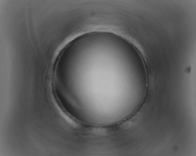 X0000093101525200710101527