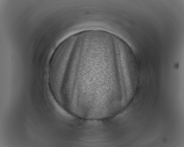 X0000093101526200710101527
